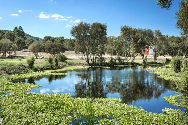 Hotel Li Neuli Country Club San Pantaleo Esterno foto